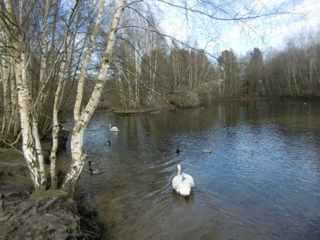 Brüggen : An den Schwalmauen